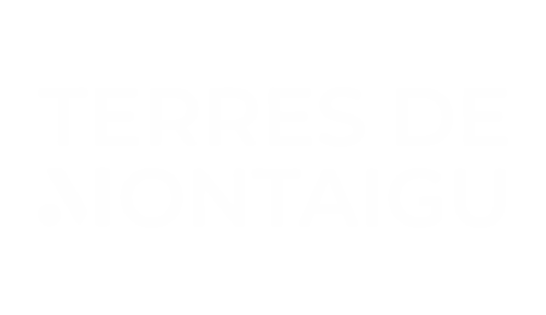 Logo Terre de montaigu PNG jaune
